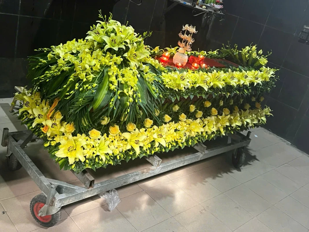 nha-tang-le-thanh-tri-tanglehn.vn