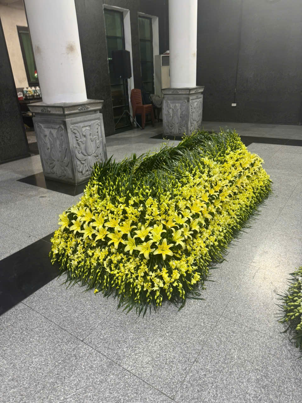 Mẫu hoa vàng dáng dài đặt trên nền sân.